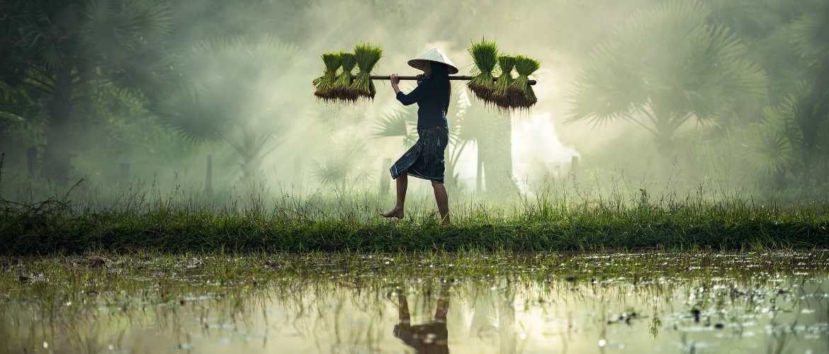 KESABARAN PARA PETANI